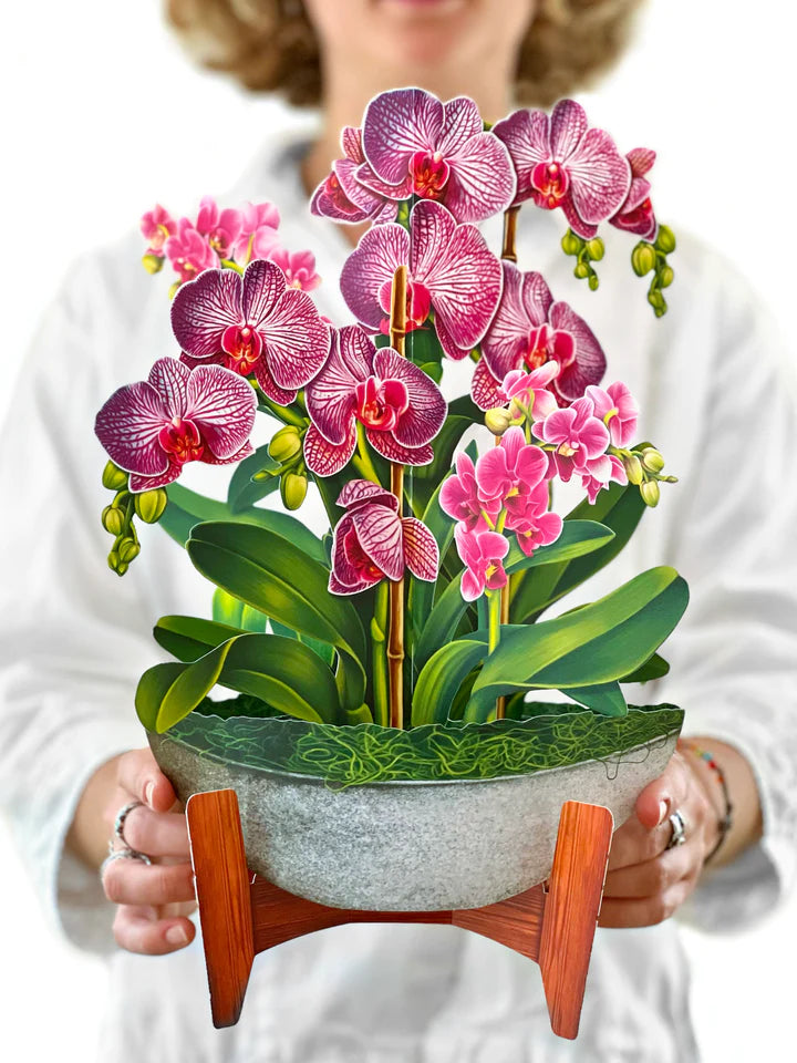 Fresh Cut Paper Flowers-Orchid Oasis Bouquet
