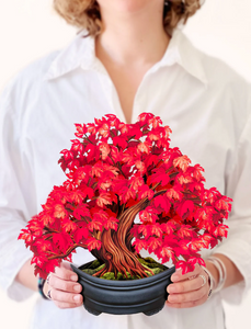 Fresh Cut Paper Flowers-Red Maple Tree