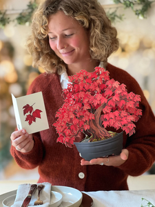 Fresh Cut Paper Flowers-Red Maple Tree