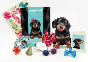 Dachshund Pop-Up Paper Card