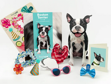 Load image into Gallery viewer, Boston Terrier Pop-Up Paper Card
