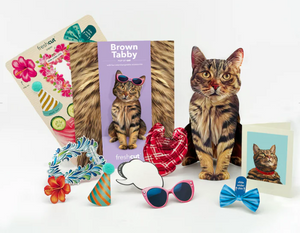 Brown Tabby Pop-Up Paper Card