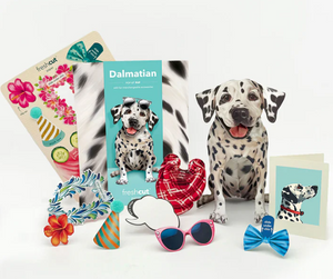 Dalmatian Pop-Up Paper Card