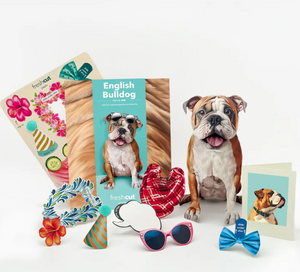 English Bulldog Pop-Up Paper Card