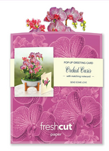 Load image into Gallery viewer, Fresh Cut Paper Flowers-Mini Orchid Oasis
