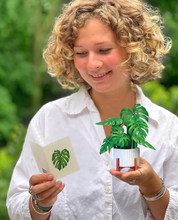 Load image into Gallery viewer, Fresh Cut Paper Flowers-Mini Monstera
