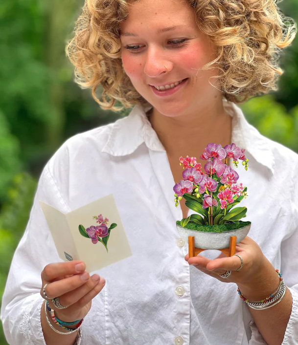 Fresh Cut Paper Flowers-Mini Orchid Oasis