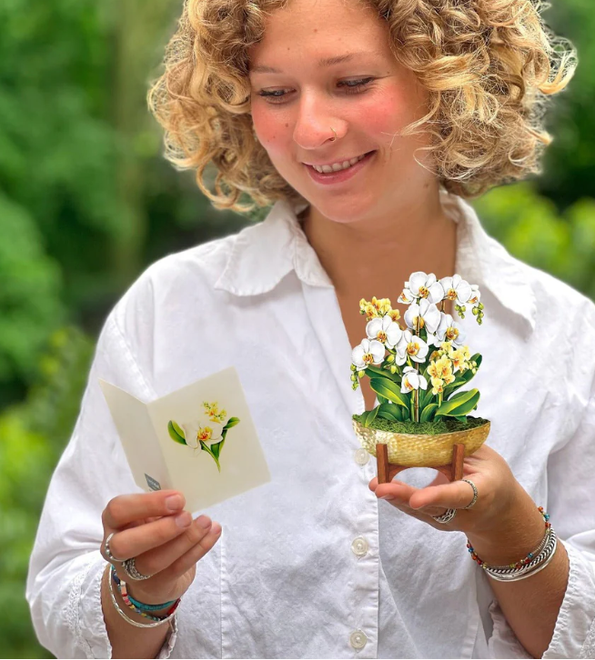 Fresh Cut Paper Flowers-Mini Serenity Orchid