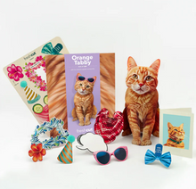 Load image into Gallery viewer, Orange Tabby Pop-Up Paper Card
