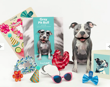 Load image into Gallery viewer, Gray Pitbull Pop-Up Paper Card
