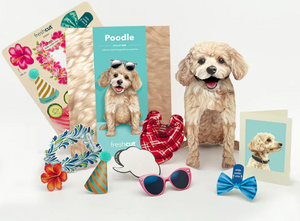 Poodle Pop-Up Paper Card