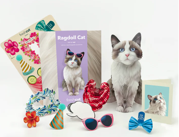 Ragdoll Cat Pop-Up Paper Card – Spring Green General Store
