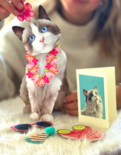 Load image into Gallery viewer, Ragdoll Cat Pop-Up Paper Card
