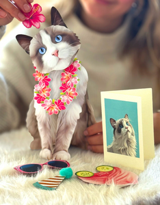 Ragdoll Cat Pop-Up Paper Card