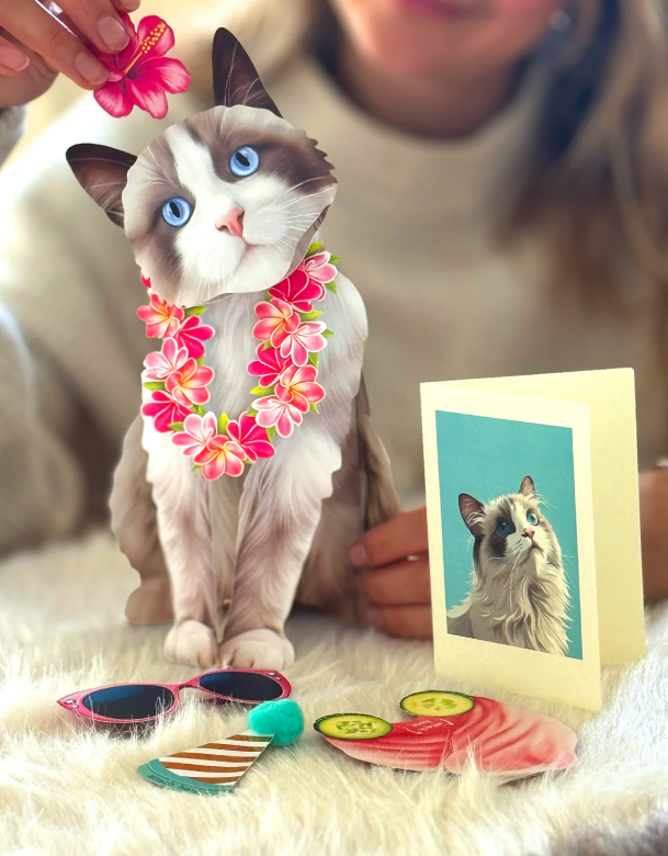 Ragdoll Cat Pop-Up Paper Card