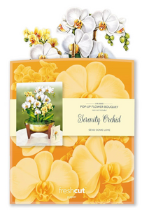 Fresh Cut Paper Flowers-Serenity Orchid