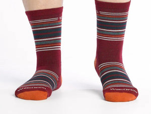 Darn Tough Multi-Stripe Micro Crew-Spice Men's (L)