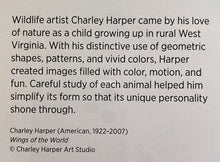 Load image into Gallery viewer, Charley Harper Wings Of The World Puzzle

